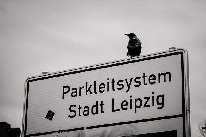 L1002429