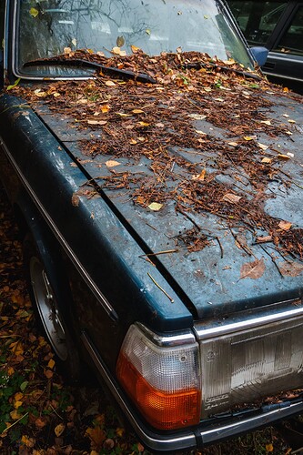 2025-11-02-14-25-08-_DSC7751